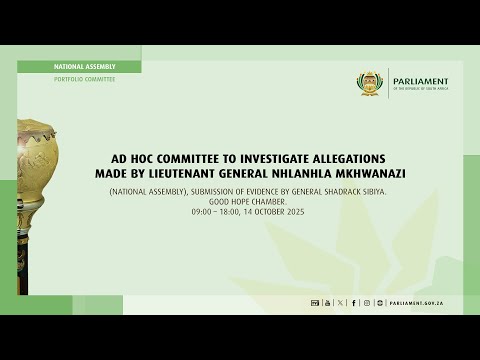 1/2 Ad Hoc Committee Investigate Allegations by General Nhlanhla Mkhwanazi, 14 October 2025