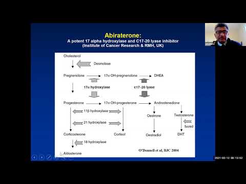 Systemic Therapy of Prostate Cancer: An Update with Dr. Paul Mathew