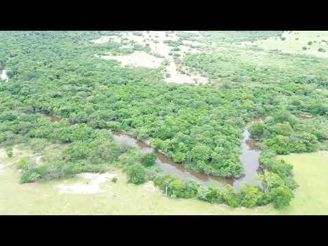 FAZENDA À VENDA – MUNICÍPIO DE PAI PEDRO/MG - IMAGENS 4K #grproduções