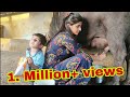 Buffalo Milking By Hand Dairyfarm Business In Gujarat India