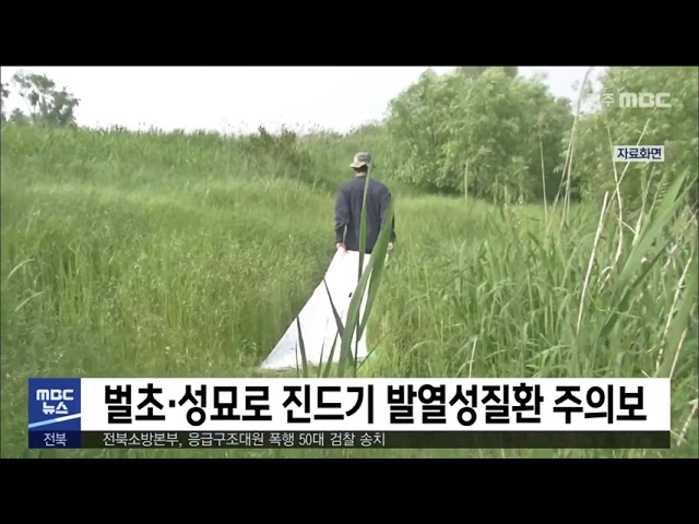 벌초·성묘로 진드기 발열성질환 주의보