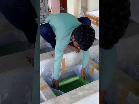 How To Ready Guppy Fish 🐠 Farm !! Guppy Fish 🐠 Farm