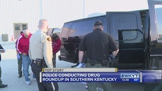 Drug roundup in Pulaski County