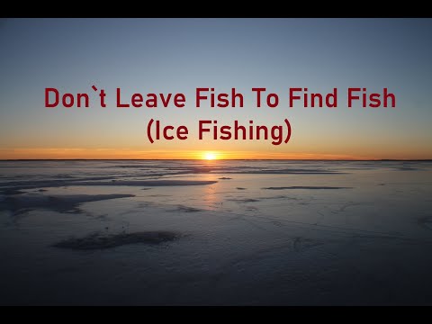 Don't Leave Fish To Find Fish (Ice Fishing)