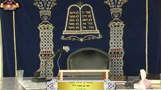 בית המדרש "תורת דוד" ¤ לעילוי נשמת הילד ישי בן נועה ז"ל ¤ ב' אלול תשפ"ה (26.8.2024) (מוסדות תורת דוד) - התמונה מוצגת ישירות מתוך אתר האינטרנט יוטיוב. זכויות היוצרים בתמונה שייכות ליוצרה. קישור קרדיט למקור התוכן נמצא בתוך דף הסרטון