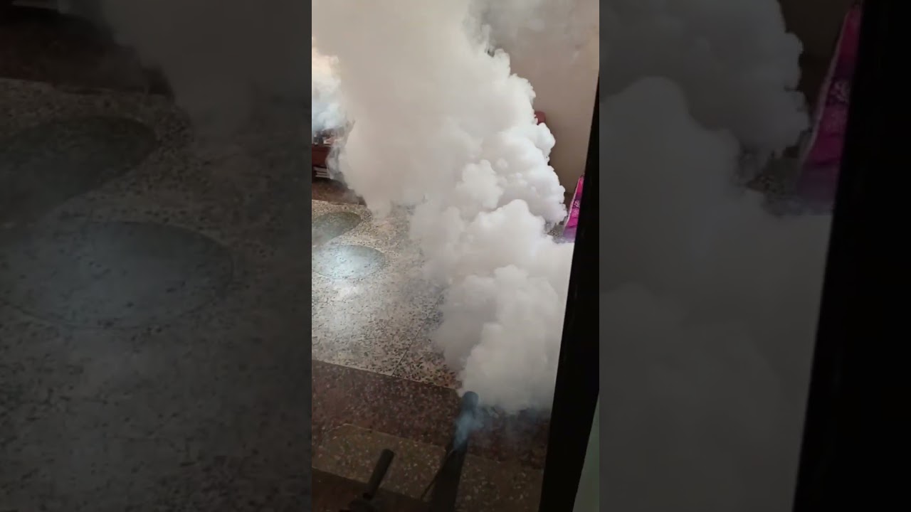 VID 30