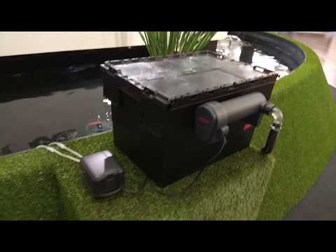 Watch Video on YouTube