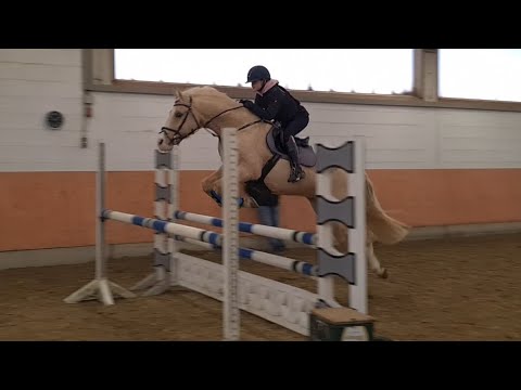 Malu (12) und Dancer - Lehrgang beim Landestrainer in Montabaur am 06.02.2022