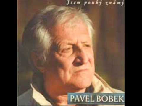 Pavel Bobek, Marie Rottrová - Divoká růže