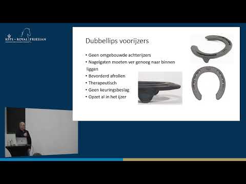 HK 2026 – Hulpflege beim Friesenpferd | Hilbert Lemstra CEF