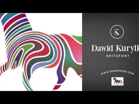 Springpferd *2006, SP ( Poln. EdelHalbblut)