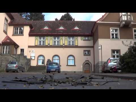 Žádný učený z nebe nespadl - Obchodka Domažlice