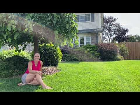 Beautiful Detached Home For Sale in Dorset Park, Milton, Ontario