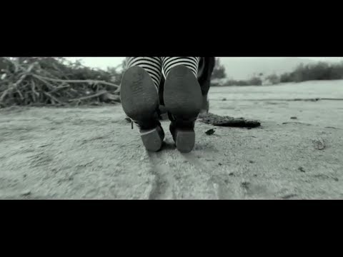 Video $Black Violet