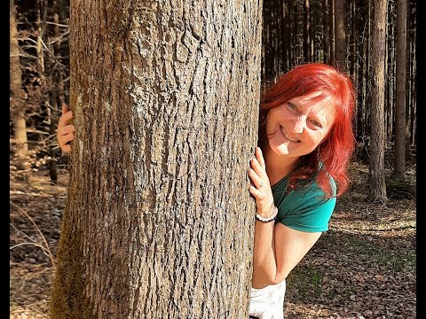 Heilpraktikerin - Sonja Hahn - Naturheilpraxis für Frauen und Familliengesundheit YouTube-Vdeominiatur 11