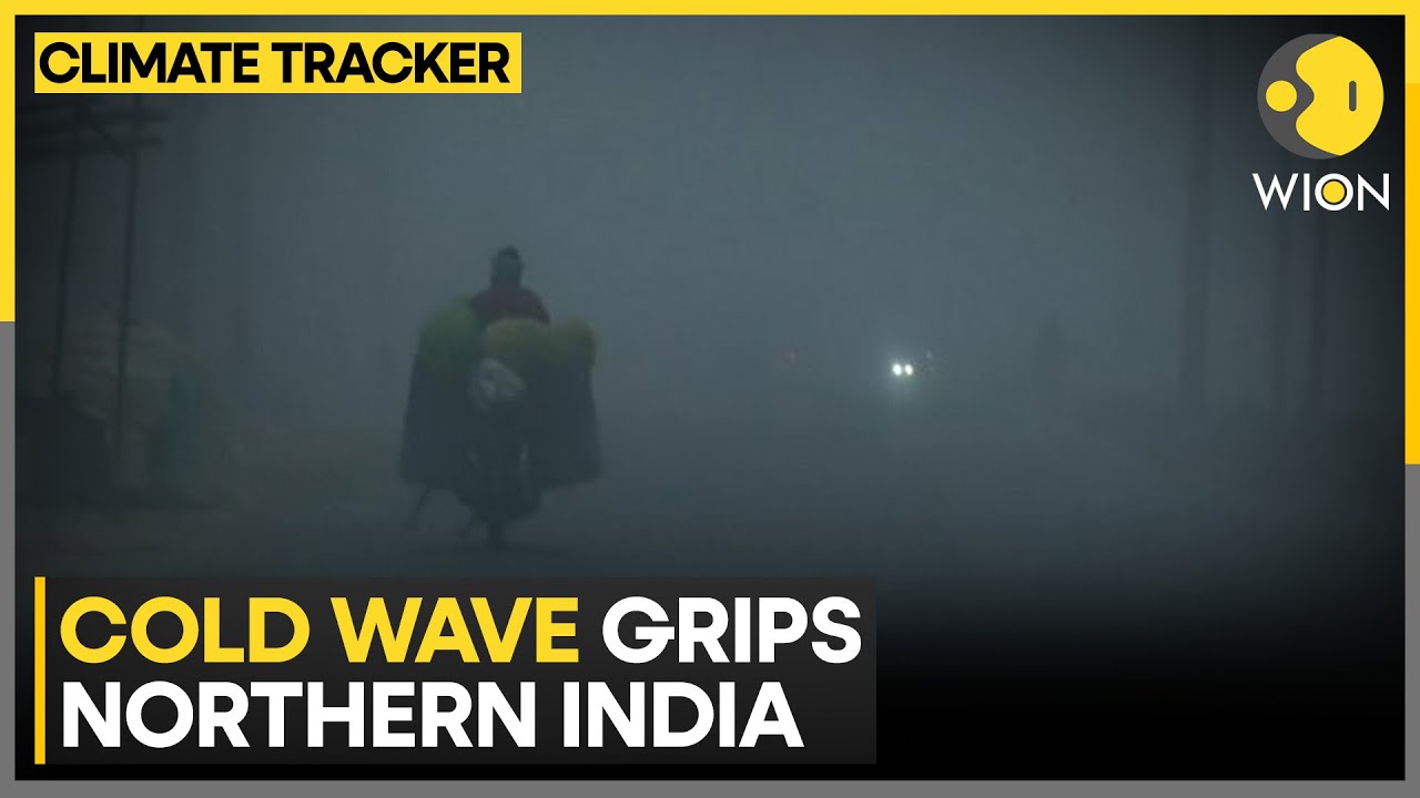 North India Shivers: Cold Wave Hits 13 States, Dense Fog Alert | WION Climate Tracker