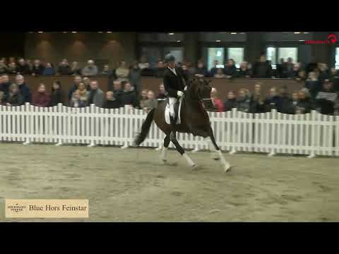 Blue Hors Feinstar v. Blue Hors Farell - Bon `A Parte, geb. 2019