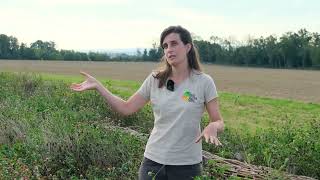 Aides aux investissements non-productifs dans les exploitations agricoles