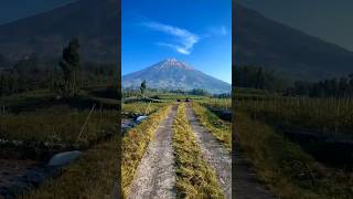 Download lagu Empat Mata - Dbagindas #dbagindas #empatmata #katabijak #shorts mp3