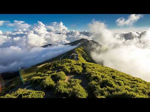 Novik - In Another Life Original Mix