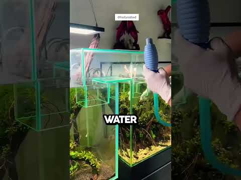 Building a Bridge Between Two Aquariums @biofarmfeed