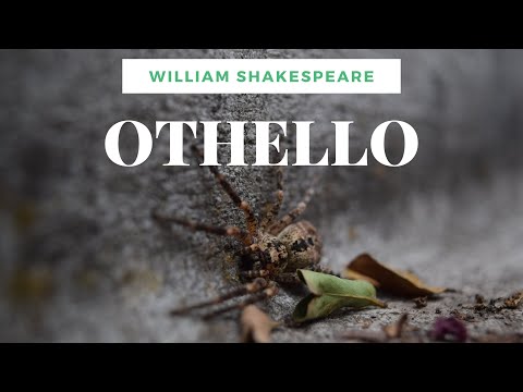 Othello, the Moor of Venice (JaYo Théâtre, webcam, 2020)
