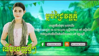ម្លប់ជ្រៃវត្តភ្នំ|នៅ សៀងហៃ [Official Music Audio]