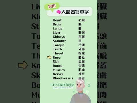 《人體器官單字》一起背更好記！#英語單字 #英語學習 #英語跟讀 #英文聽力 #英文单词
