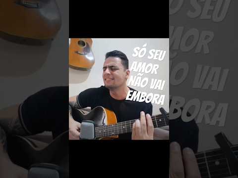 Só Seu Amor Não Vai Embora - Daniel