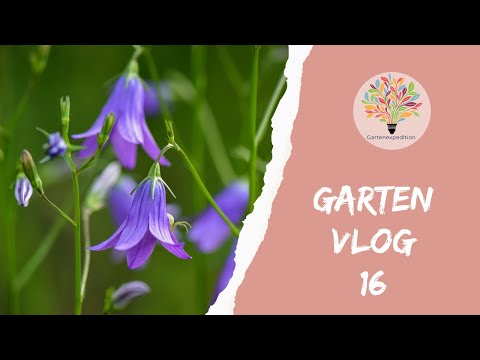 Wildstauden pflegen & Aussaat-Fehler korrigieren: Dein Guide für das Winter-Gartenjahr