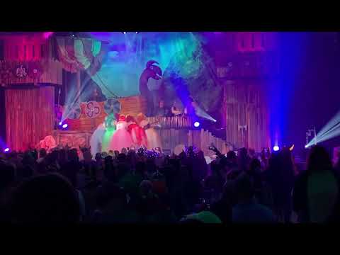 Rosa Sitzung 2020 - Travestie Walküren