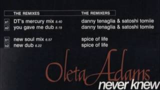 Oleta Adams - Never Knew Love (You Gave Me Dub)