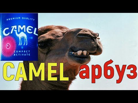 CAMEL с арбузной капсулой / Худший CAMEL в истории или лучший?