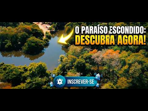 Voo sobre o Rio Alegre: Uma Jornada de Paz e Natureza Pura no MT