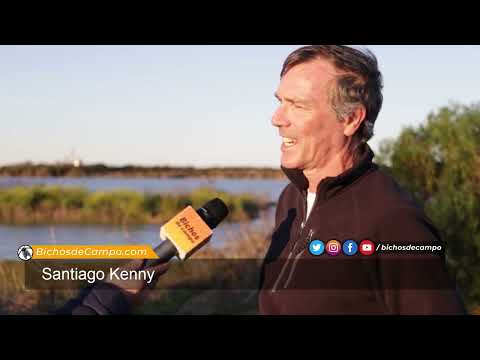 Santiago Kenny, productor agropecuario en el departamento La Paz, Entre Ríos