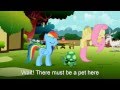 My Little Pony: Find A Pet Song (Cover) 