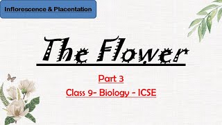 Inflorescence and Placentation. #The Flower (part 3--Class 9/ICSE- Biology)