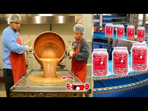 How kismi Chocolate Is Made In Factory | Parle Kismi Production | Kismi Manufacture