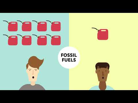 植物ベースのダイエットは、環境と健康のために本当に良いですか？