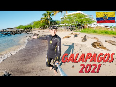 image-Is December a good time to visit Galapagos?