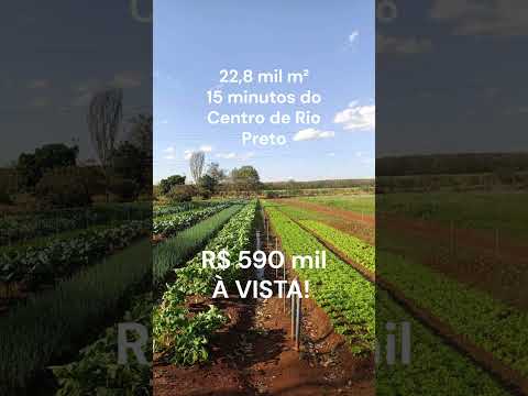💰 INVESTIMENTO RURAL COM PRODUÇÃO E LOCALIZAÇÃO ESTRATÉGICA — BADY BASSITT/SP  R$ 590 MIL À VISTA