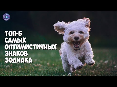 Топ 5 самых оптимистичных знаков зодиака