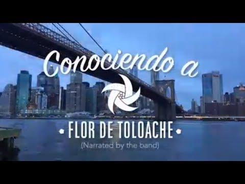 Get to Know Flor de Toloache | Conociendo a Flor de Toloache