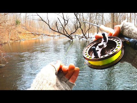 Snowy Bobber Down! Winter Michigan Steelhead Float Fishing