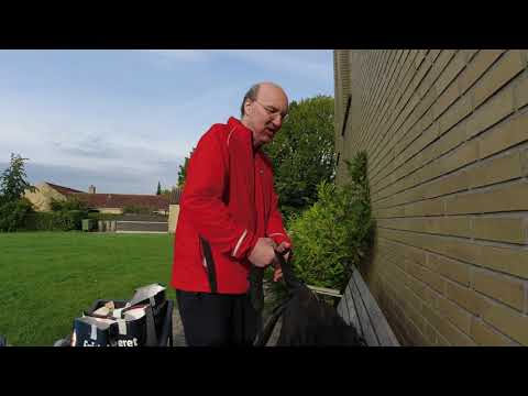 MongoTV_9726 - Del 2 - YouTube Penge Kommet - Cykler Til LIDL og Handler Mad