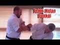 Practical Kata Bunkai Thoughts On Tekki Nidan Bunkai Naihanchi Nidan