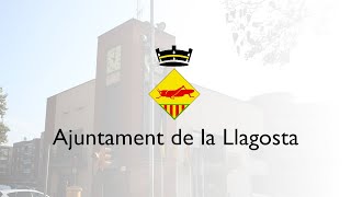 Sessió plenària ordinària dijous 23 de febrer de 2023