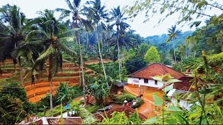 Download lagu LUAR BIASA.,SUASANA PAGI HARI DI KAMPUNG TERPENCIL,INDAH PEMANDANGAN ALAM DESANYA,SUASANA PEDESAAN mp3