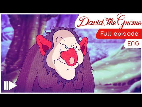 David the Gnome (English) - 09 - The Pond In The Forest | Full Episode