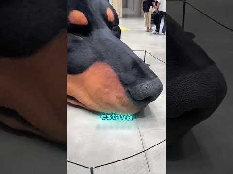 O cachorro gigante é de verdade 😯